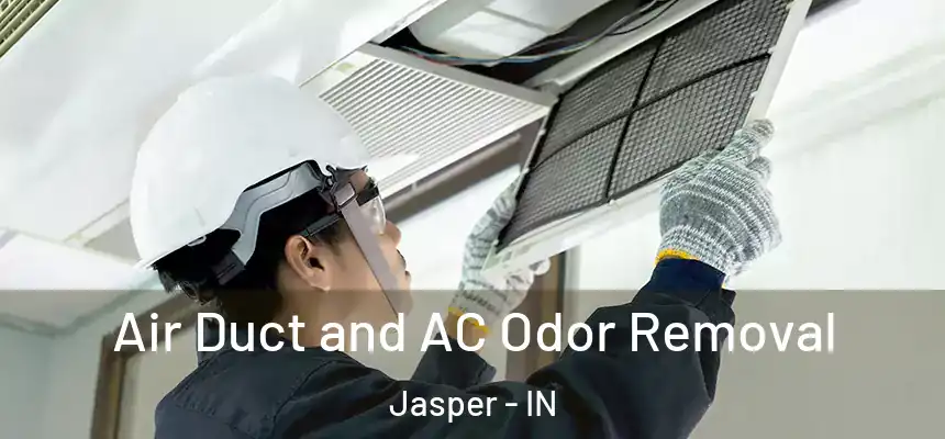 Air Duct and AC Odor Removal Jasper - IN