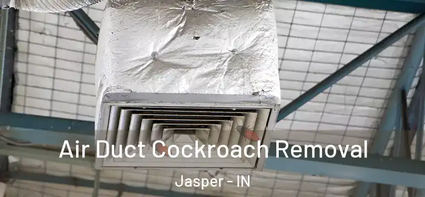 Air Duct Cockroach Removal Jasper - IN