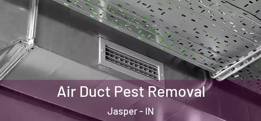 Air Duct Pest Removal Jasper - IN