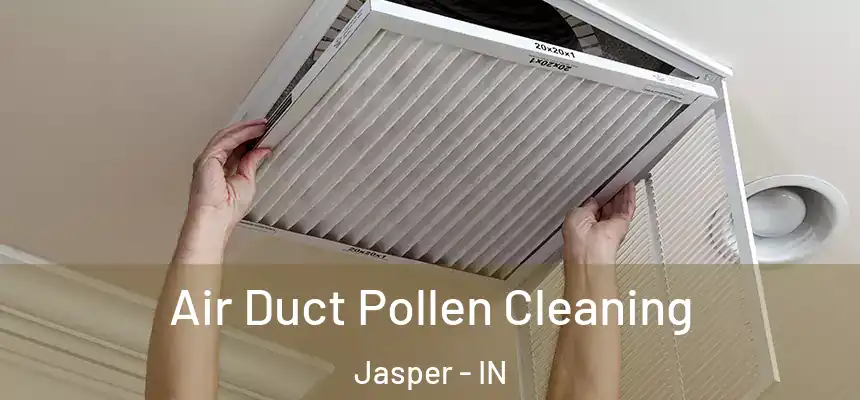  Air Duct Pollen Cleaning Jasper - IN