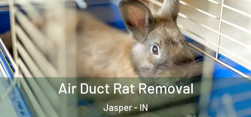 Air Duct Rat Removal Jasper - IN