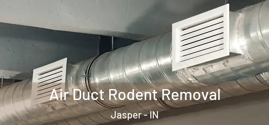  Air Duct Rodent Removal Jasper - IN
