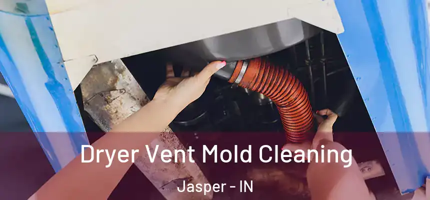  Dryer Vent Mold Cleaning Jasper - IN