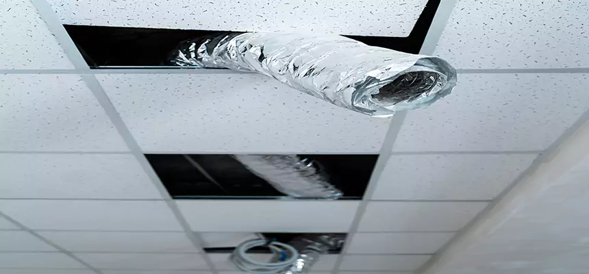 Our Air Duct Pet Hair Removal Services in Jasper, IN