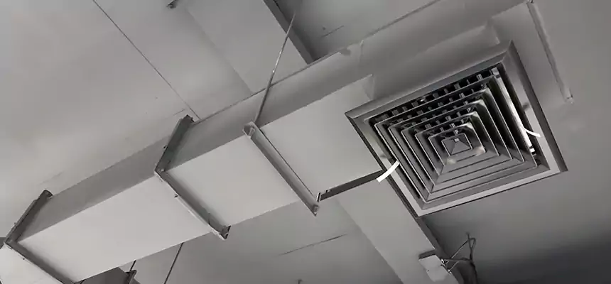 Our Rodent Droppings In Vents Services in Jasper, IN