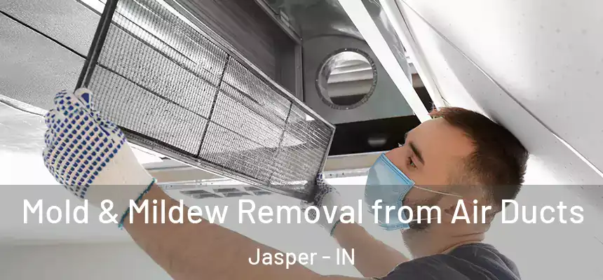 Mold & Mildew Removal from Air Ducts Jasper - IN