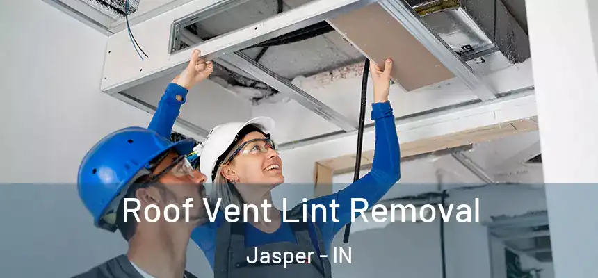 Roof Vent Lint Removal Jasper - IN
