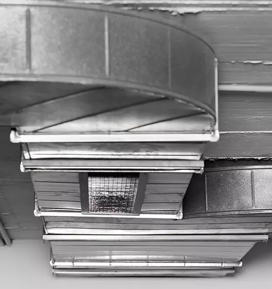 Professional Air Duct Pet Hair Removal in Jasper, IN