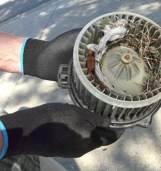 About Air Duct Rat Removal in Jasper, IN