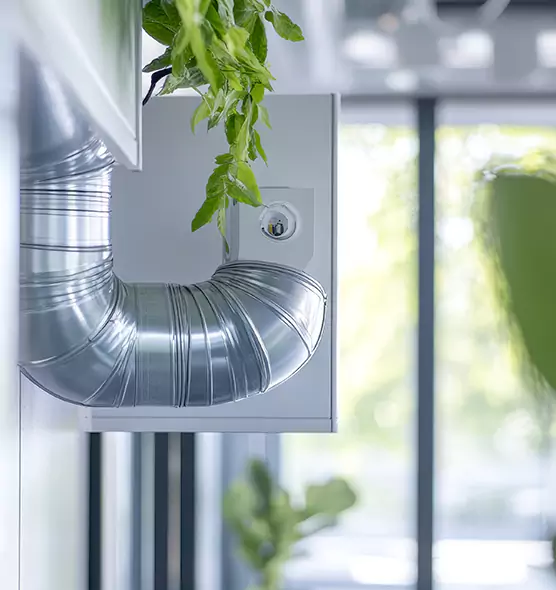 Professional Eco-Safe Dryer Vent Cleaning in Jasper, IN