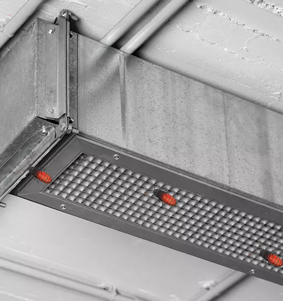 Affordable Insect Removal from Air Ducts in Jasper, IN