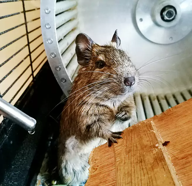 Why Homeowners & Businesses Trust Us Jasper, IN?