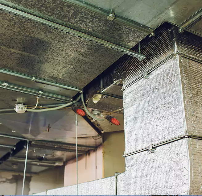 Why Homeowners & Businesses Trust Us Jasper, IN?